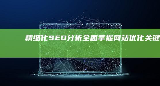 精细化SEO分析：全面掌握网站优化关键步骤